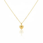 14 Ayar Altın Kalp Uçlu Kolye