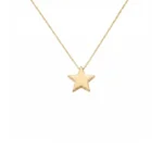 14 Ayar Altın Yıldız Kolye